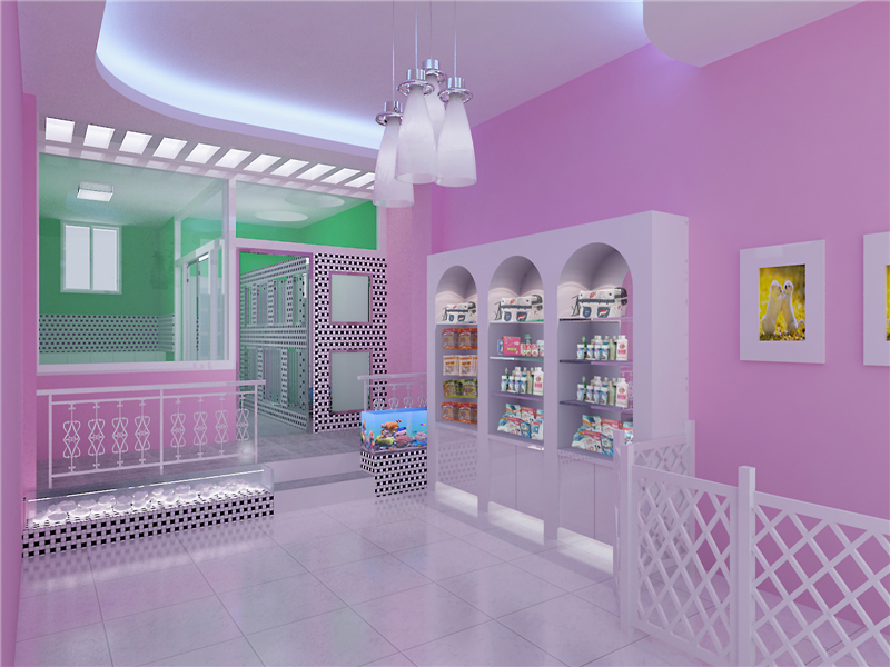 金輝楓尚寵物店